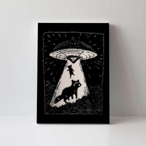 Ufos And Raccoons Weirdcore Pastel Goth Punk Goblincore Canvas