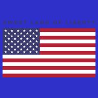 Us America Sweet Land Liberty American Flag Patriot Usa Cool Gift Poster