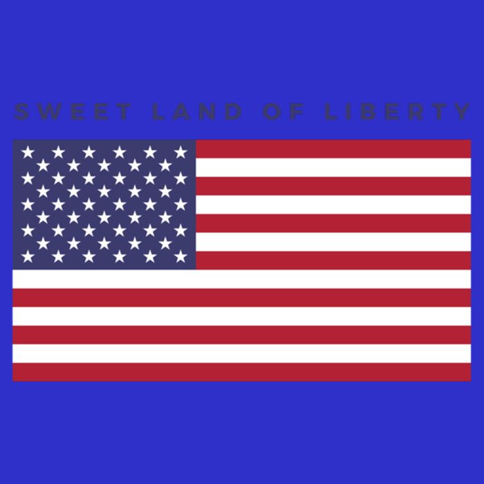 Us America Sweet Land Liberty American Flag Patriot Usa Cool Gift Poster