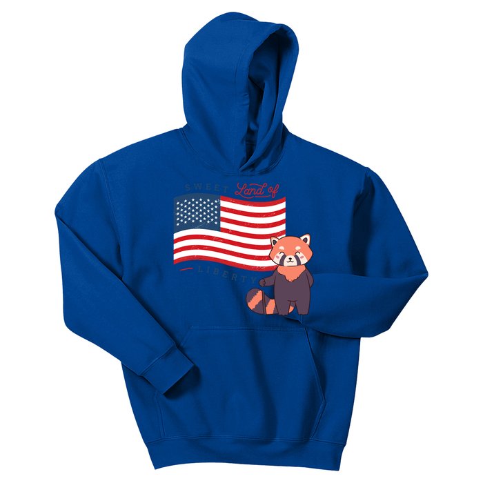 Usa America Sweet Land Liberty Bear Gift Kids Hoodie