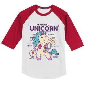 Unicorn Anatomy Kids Colorblock Raglan Jersey