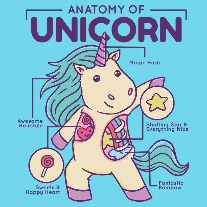 Unicorn Anatomy T-Shirt