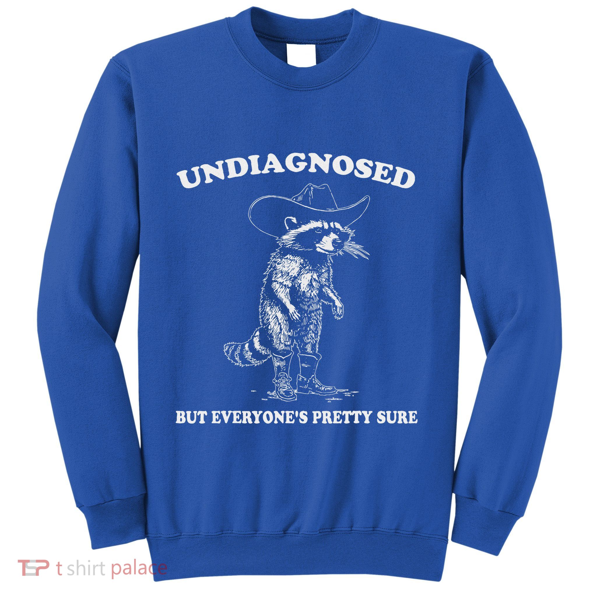Undiagnosed But EveryoneS Pretty Sure Sweatshirt