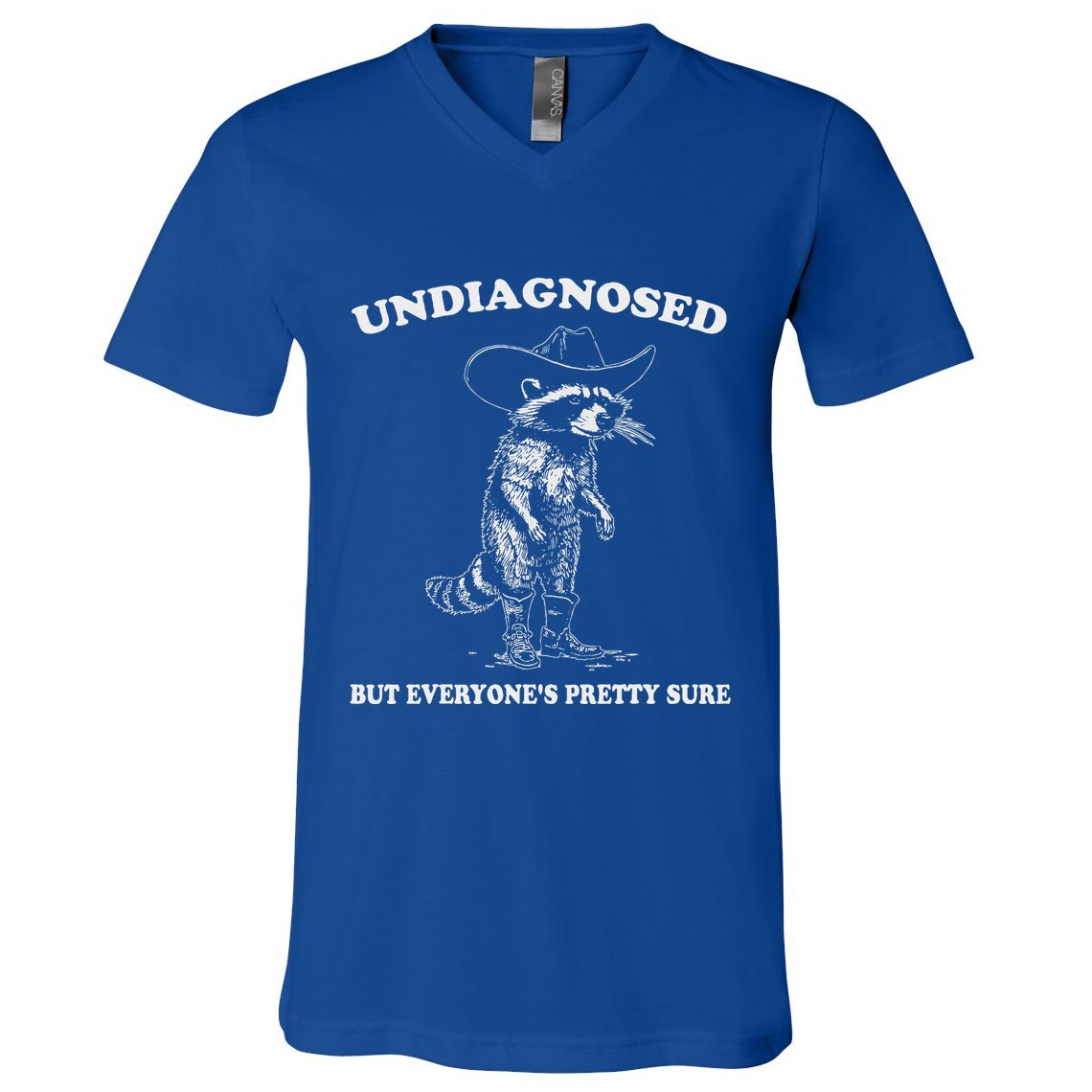 Undiagnosed But EveryoneS Pretty Sure V-Neck T-Shirt
