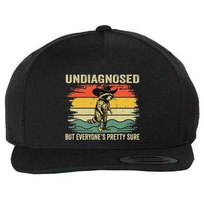Undiagnosed But EveryoneS Pretty Sure Raccoon Wool Snapback Cap