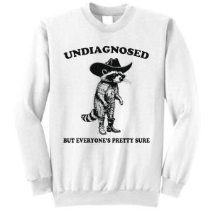 Undiagnosed But EveryoneS Pretty Sure Funny Cowboy Raccoon Sweatshirt