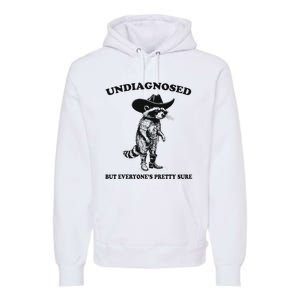 Undiagnosed But EveryoneS Pretty Sure Funny Cowboy Raccoon Premium Hoodie