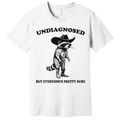 Undiagnosed But EveryoneS Pretty Sure Funny Cowboy Raccoon Premium T-Shirt