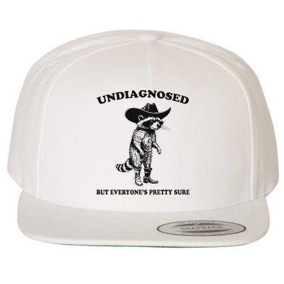 Undiagnosed But EveryoneS Pretty Sure Funny Cowboy Raccoon Wool Snapback Cap