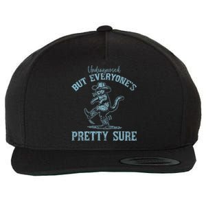 Undiagnosed But EveryoneS Pretty Sure Funny Cowboy Cat Wool Snapback Cap