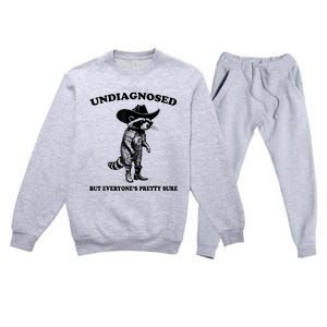 Undiagnosed But EveryoneS Pretty Sure Funny Cowboy Raccoon Premium Crewneck Sweatsuit Set