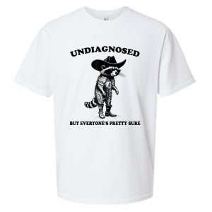 Undiagnosed But EveryoneS Pretty Sure Funny Cowboy Raccoon Sueded Cloud Jersey T-Shirt