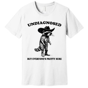 Undiagnosed But EveryoneS Pretty Sure Funny Cowboy Raccoon Premium T-Shirt