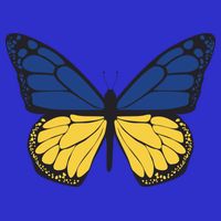 Ukraine Butterfly Illustration Poster