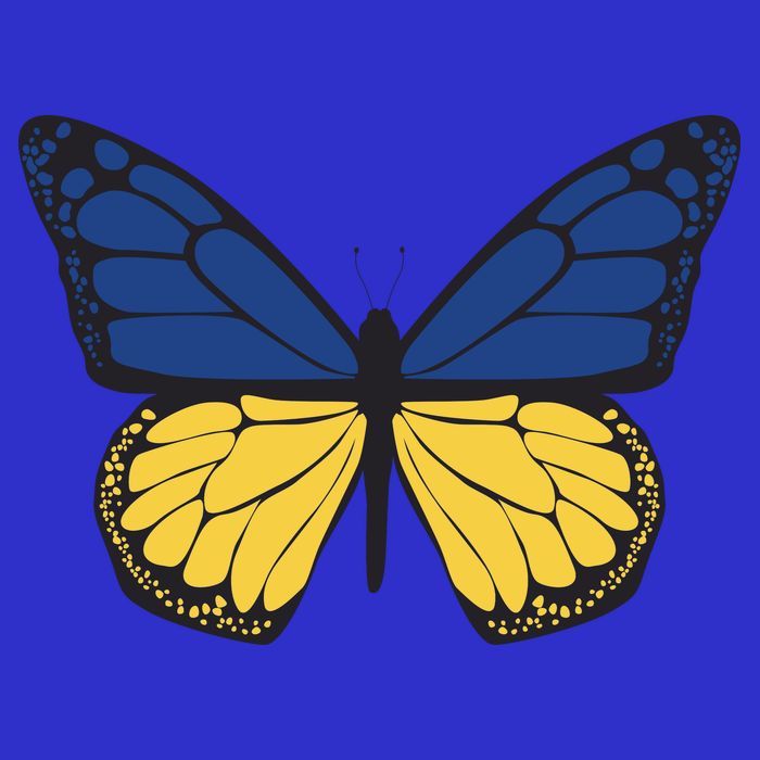 Ukraine Butterfly Illustration Poster