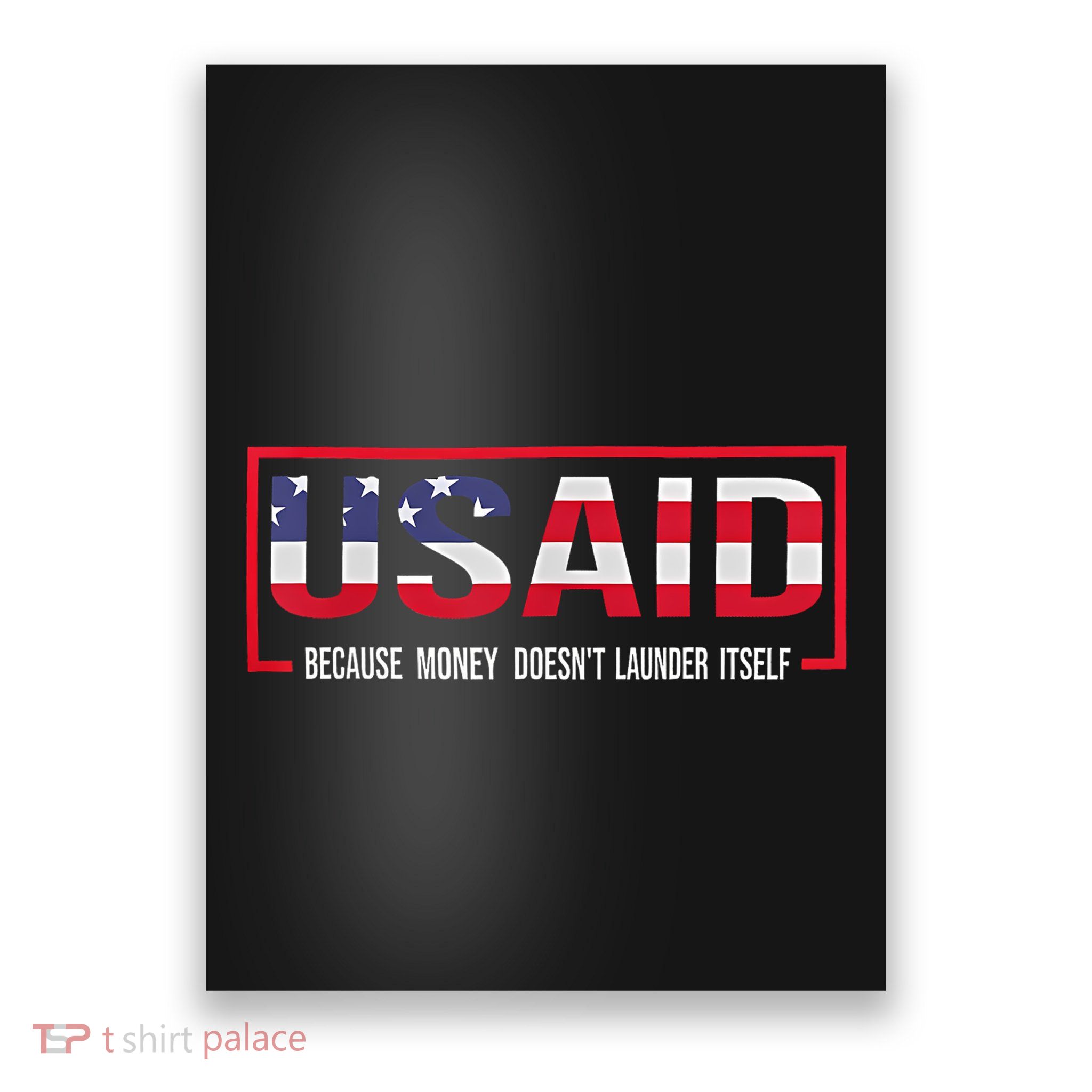 Usaid Because Money DoesnT Launder Itself Poster