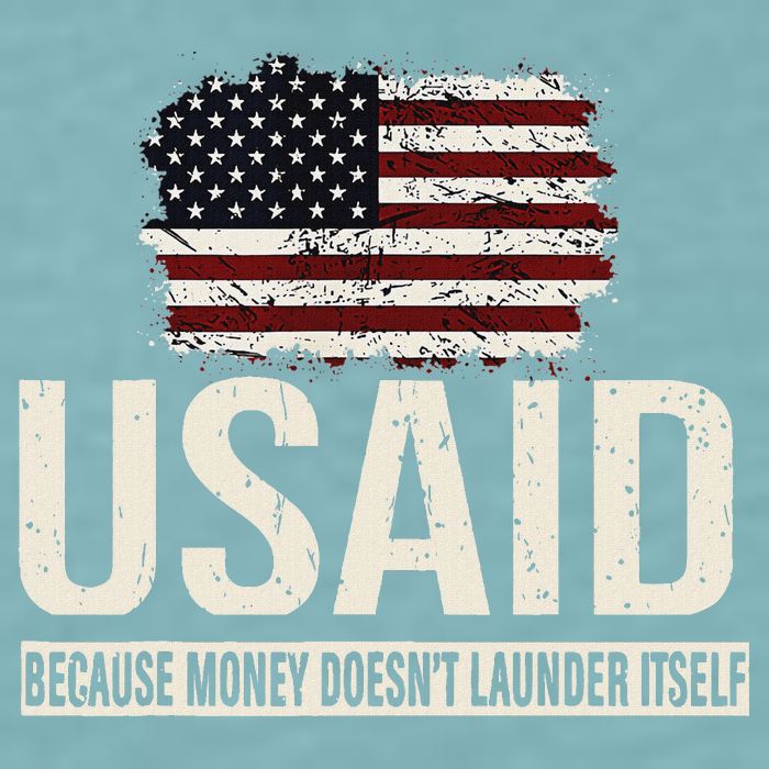 Usaid Because Money Doesn’T Launder Itself Us Americans Sueded Cloud Jersey T-Shirt