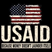 Usaid Because Money Doesn’T Launder Itself Us Americans Bucket Hat
