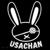 USACHAN Buddha Of Ragnarok Visor