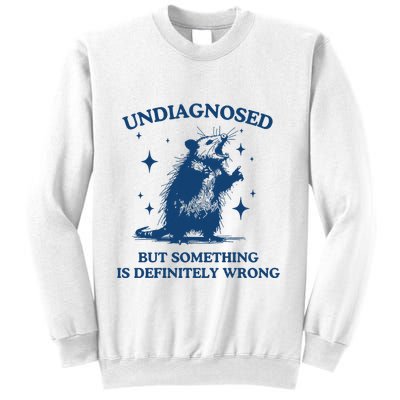 Undiagnosed But Something Is Wrong Opossum Sweatshirt