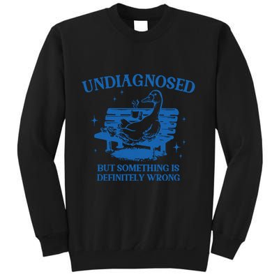 Undiagnosed But Something Is Wrong Sweatshirt