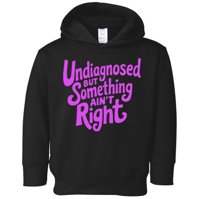 Undiagnosed But Something AinT Right Toddler Hoodie