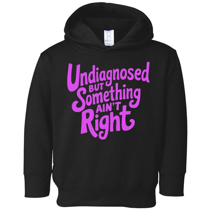 Undiagnosed But Something AinT Right Toddler Hoodie