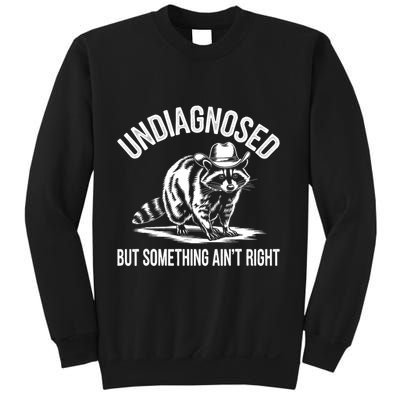 Undiagnosed But Something AinT Right Cowboy Funny Raccoon Sweatshirt