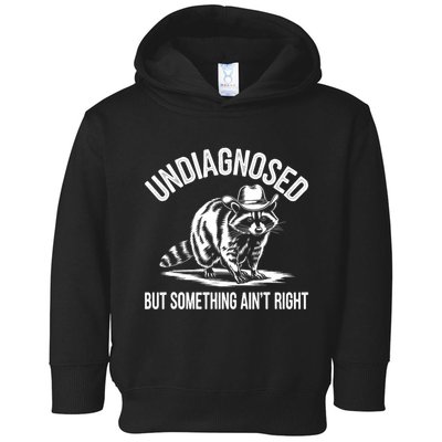 Undiagnosed But Something AinT Right Cowboy Funny Raccoon Toddler Hoodie