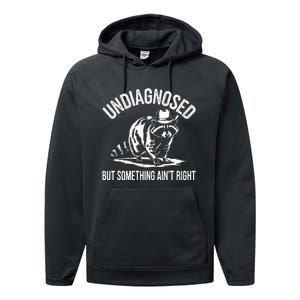 Undiagnosed But Something AinT Right Cowboy Funny Raccoon Performance Fleece Hoodie