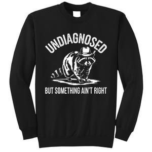 Undiagnosed But Something AinT Right Cowboy Funny Raccoon Sweatshirt