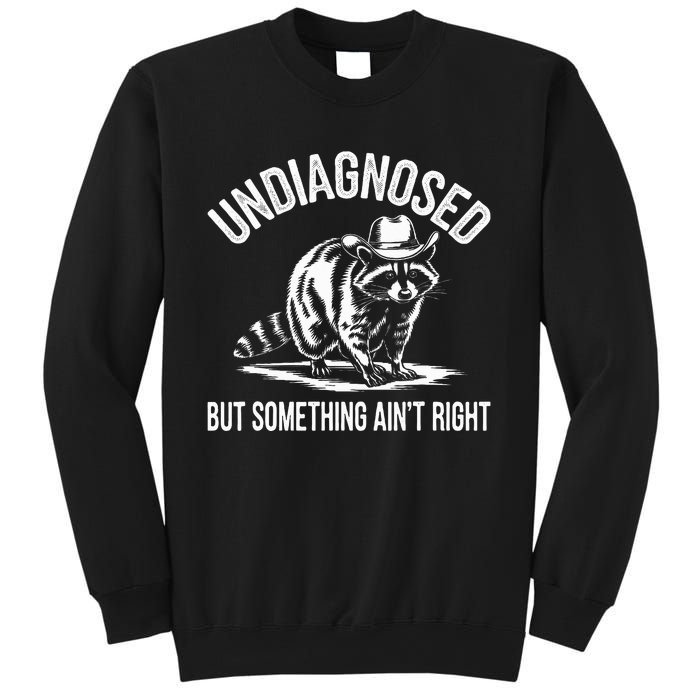 Undiagnosed But Something AinT Right Cowboy Funny Raccoon Sweatshirt