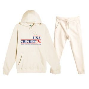 Usa Cricket 24 Make Cricket American Again Premium Hooded Sweatsuit Set