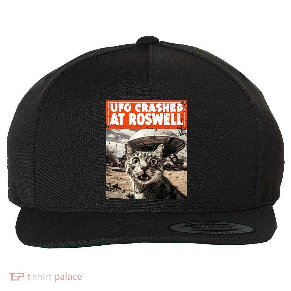 Ufo Crashed At Roswell Alien Selfie Cat Wool Snapback Cap