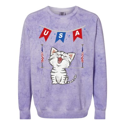 USA Cat American Flag Colorblast Crewneck Sweatshirt