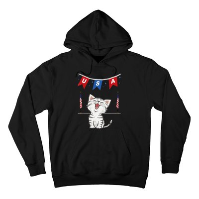 USA Cat American Flag Hoodie