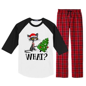 Ugly Cat Christmas Tree What? Catcute Catxmas Cat Gift Raglan Sleeve Pajama Set