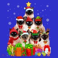 Ugly Christmas Cat Tree Funny Siamese Cat Xmas Funny Gift Premium T-Shirt