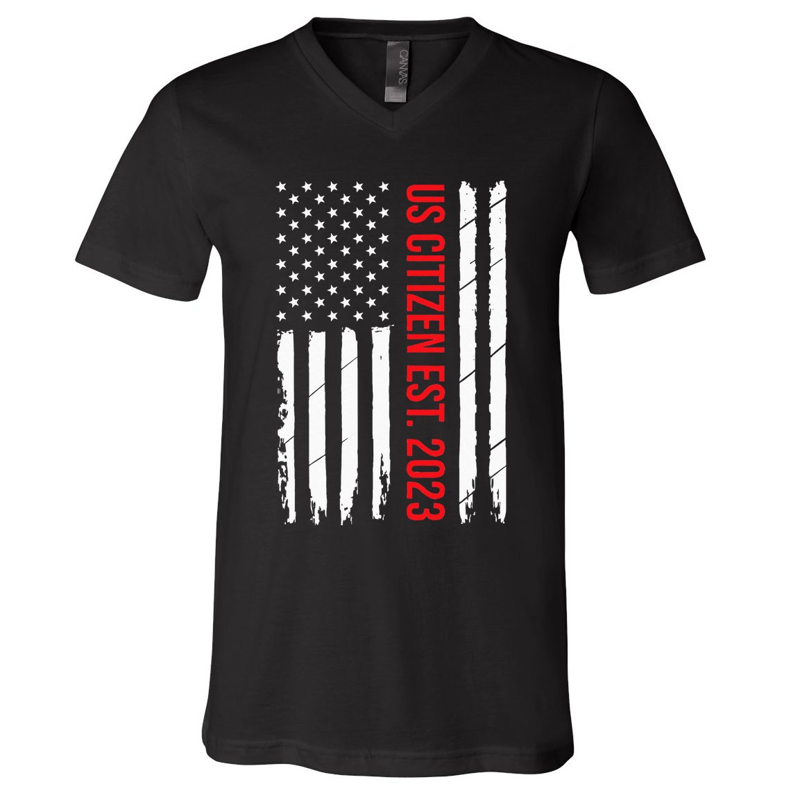 US Citizenship Decoration American New USA Citizen V-Neck T-Shirt
