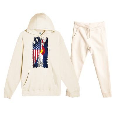 Usa Colorado Flags United States Of America Coloradans Premium Hooded Sweatsuit Set