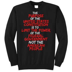 Us Constitution Gift Constitution Clarification Sweatshirt