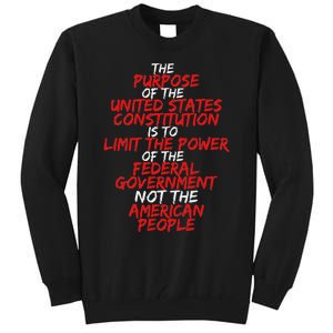 Us Constitution Gift Constitution Clarification Tall Sweatshirt