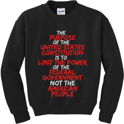 Us Constitution Gift Constitution Clarification Kids Sweatshirt