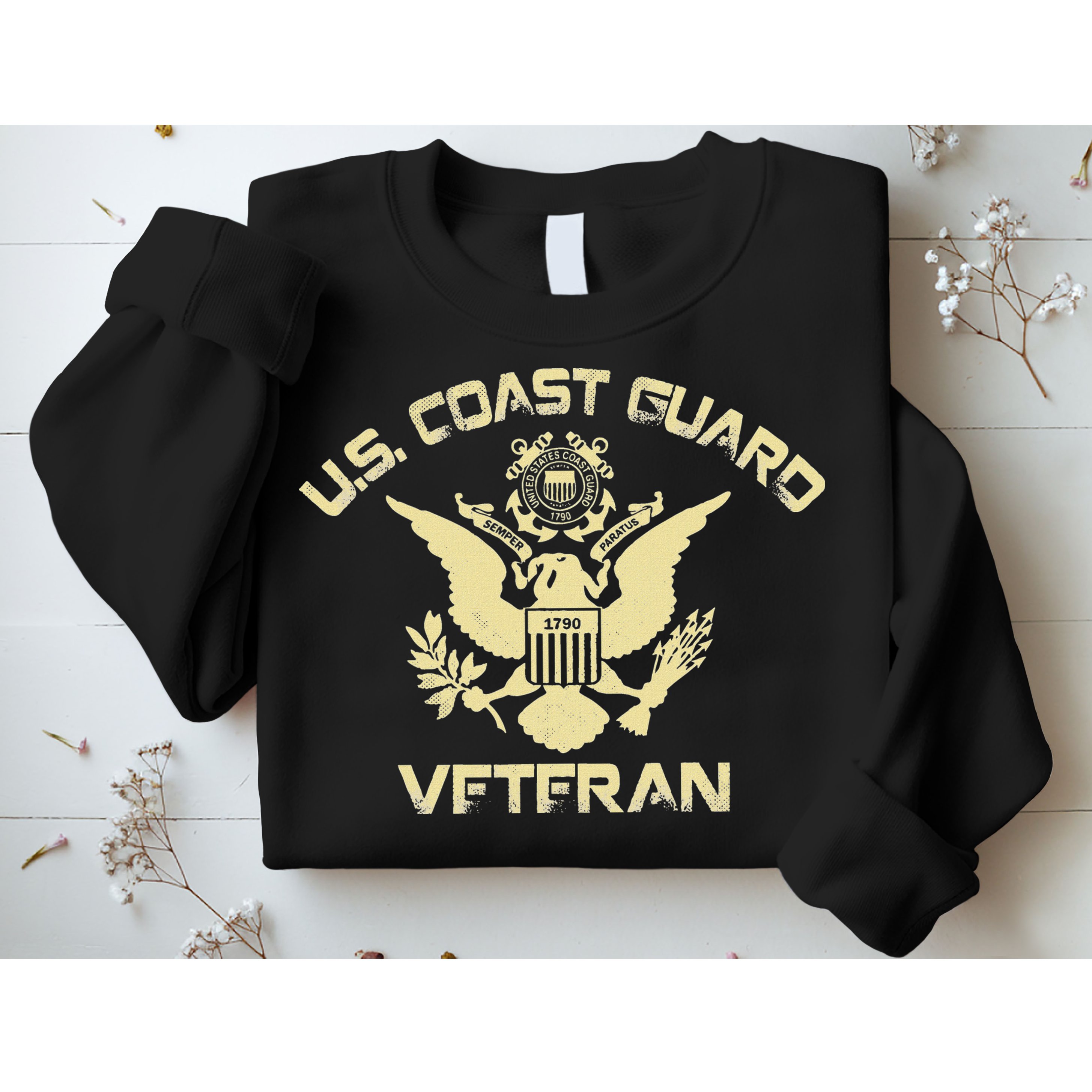 U.S. Coast Guard Veteran Eagle Vintage Veterans Day Sweatshirt