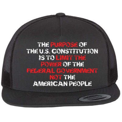 US Constitution Gift Constitution Clarification Pro 2A Flatbill Hat