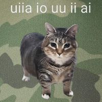 Uiia Cat I Wake Up I Engage In Tomfoolery Legacy Tie Dye Trucker Hat