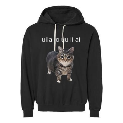 Uiia Cat I Wake Up I Engage In Tomfoolery Garment-Dyed Fleece Hoodie