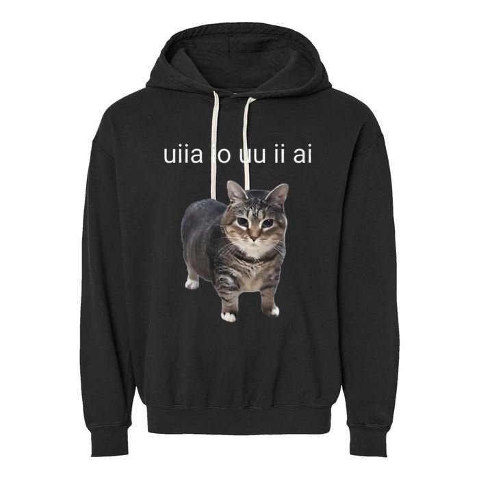 Uiia Cat I Wake Up I Engage In Tomfoolery Garment-Dyed Fleece Hoodie