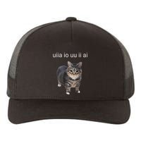 Uiia Cat I Wake Up I Engage In Tomfoolery Yupoong Adult 5-Panel Trucker Hat