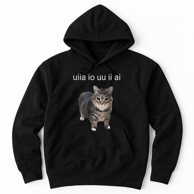 Uiia Cat I Wake Up I Engage In Tomfoolery Hoodie